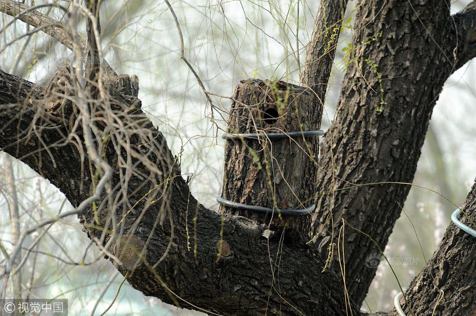 《論壞狗把老婆騙到手》筆趣閣