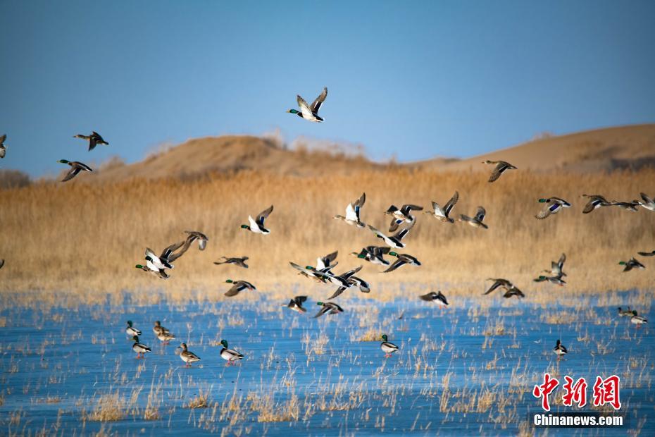 《年少》by妖然有實(shí)體書嗎