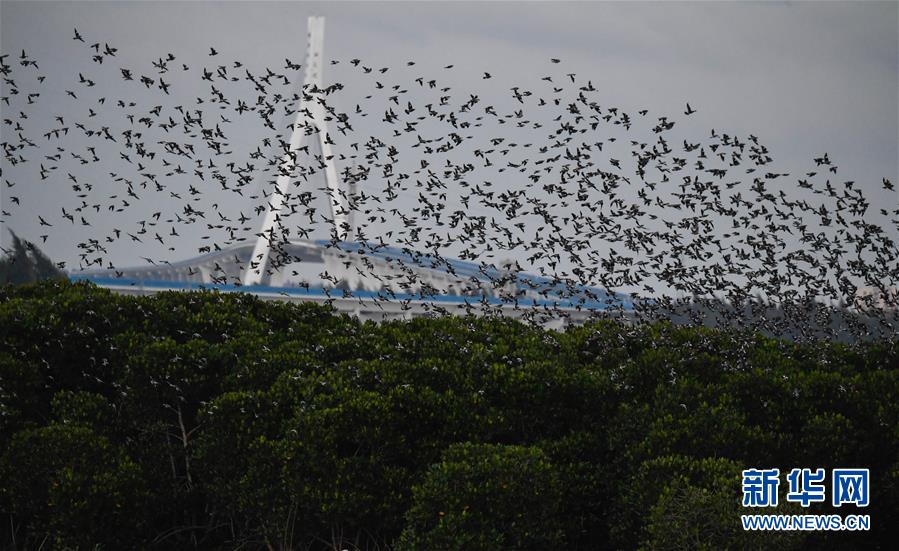 由微復(fù)著小說by亂世音
