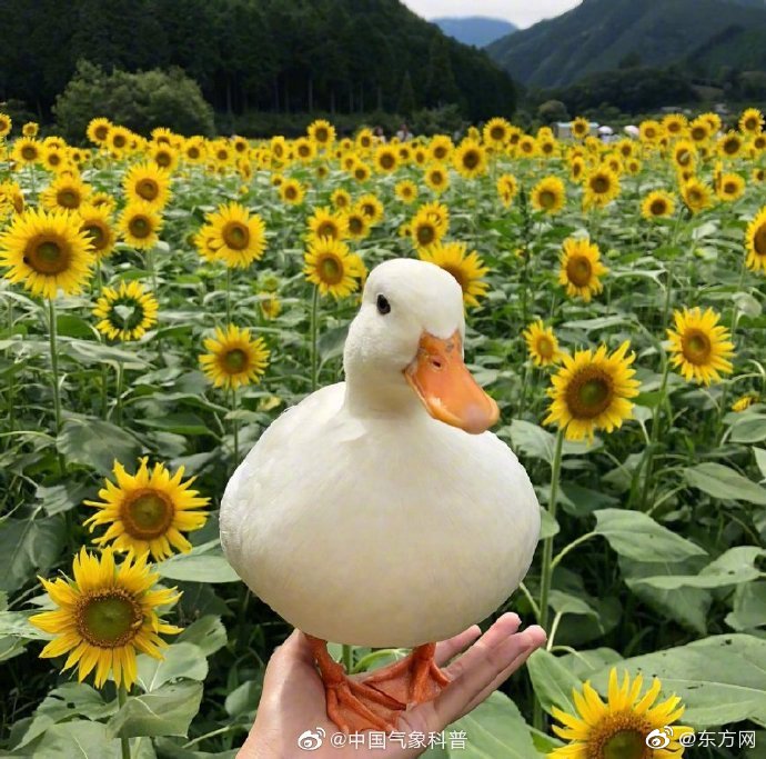 (雙男主,,兄弟,年上)