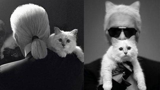 蝶舞大唐春小說TXT下載