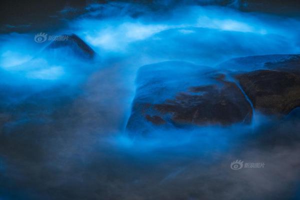 大家庭之合家歡小說免費閱讀