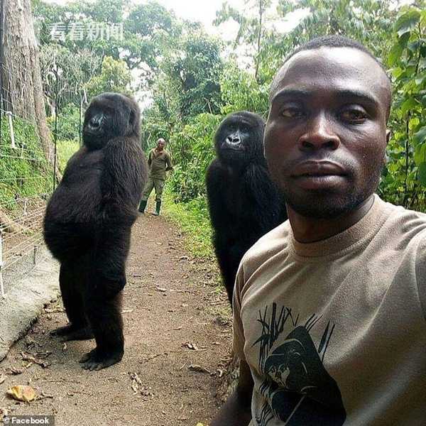 非凡人生(嬌艷人生)小說