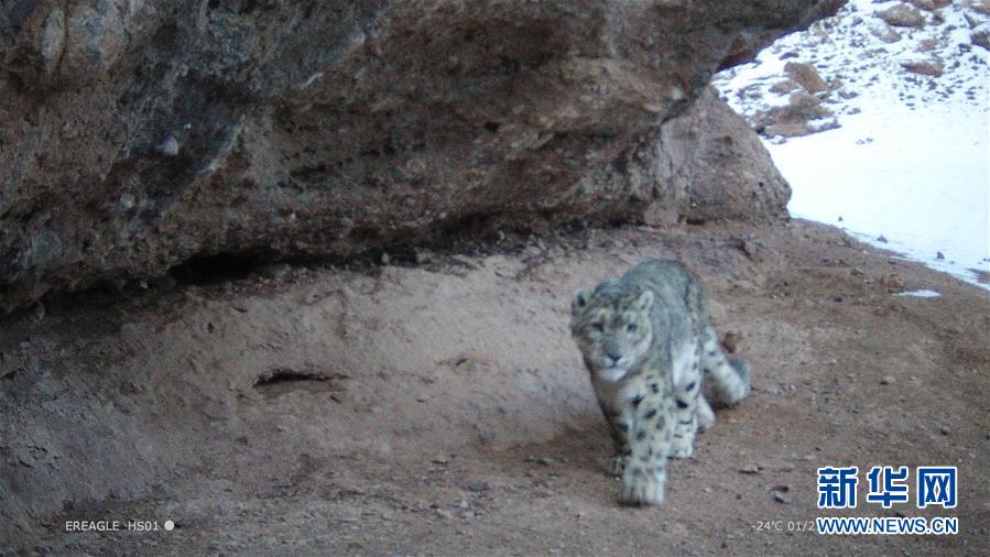 朱元璋傳txt吳晗