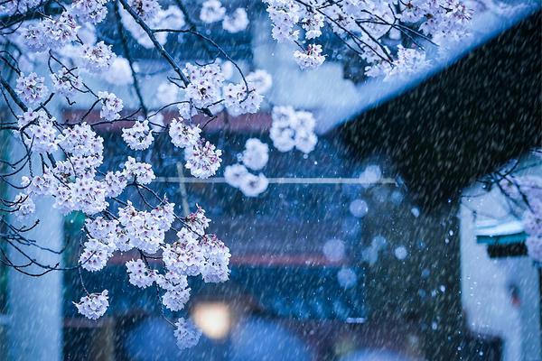 《易感》by東度日小說推薦