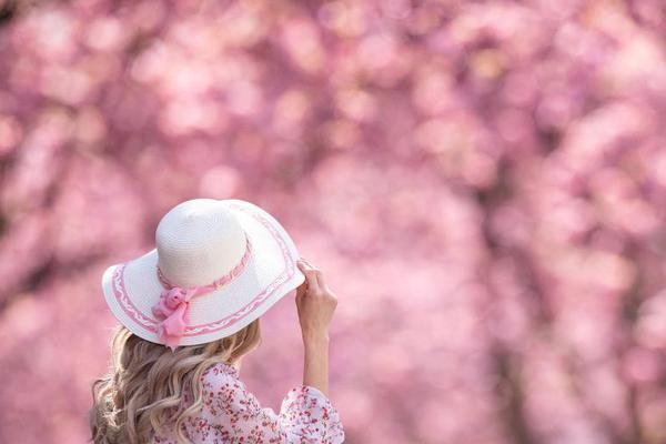 虞美人晁補之閱讀答案