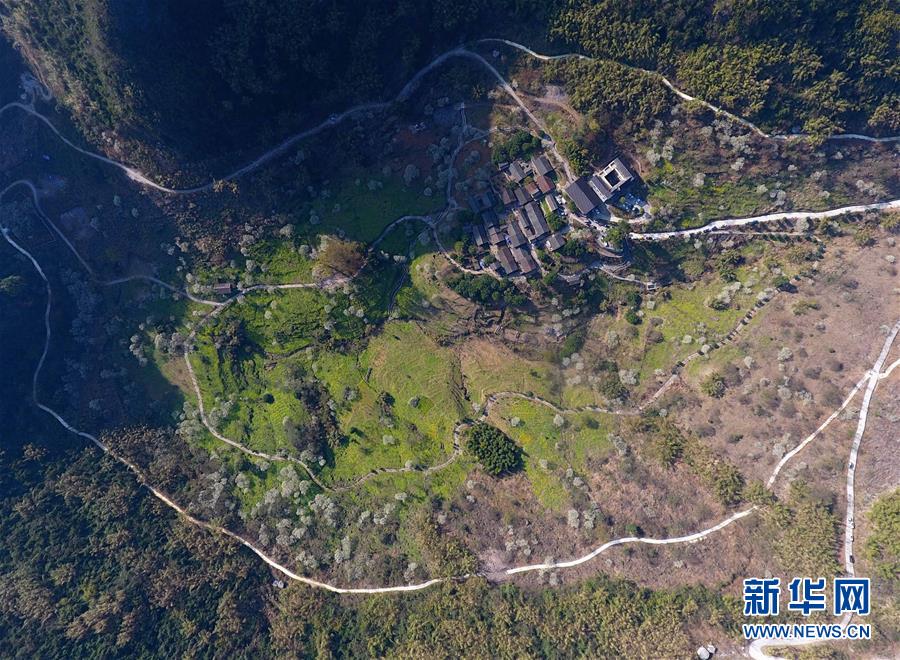 大奉打更人txt筆趣閣無廣告