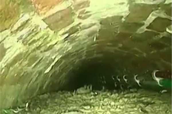 欲火小說筆趣閣碎碎平安