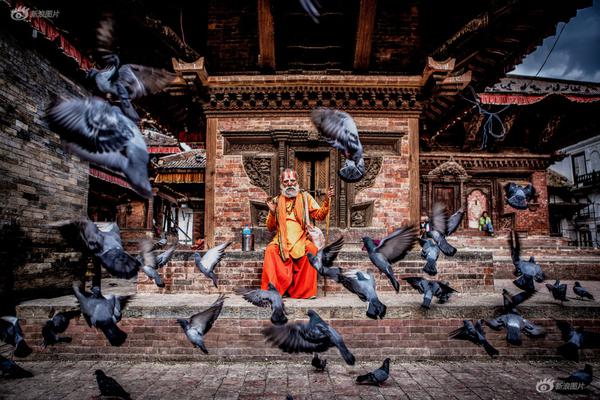 匪我思存作品集txt