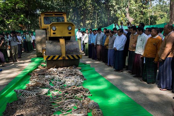 由南向北by疏朗晉江