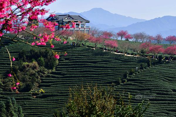 朱元璋傳電子書txt