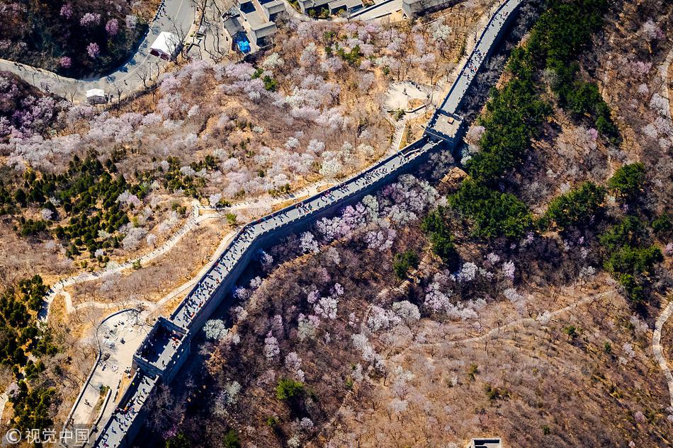 高冷悶騷校草校園小說