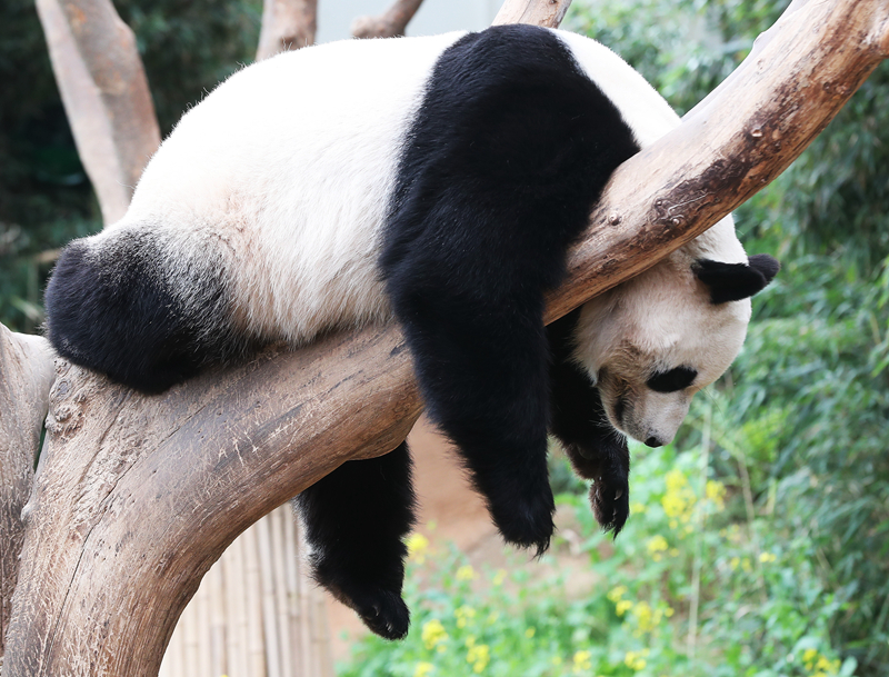 一枚硬幣by訣別詞txt百度云