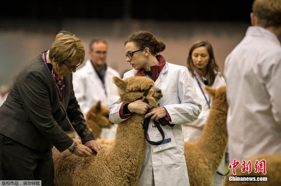 《青梅好甜》by減肥我不吃TXT