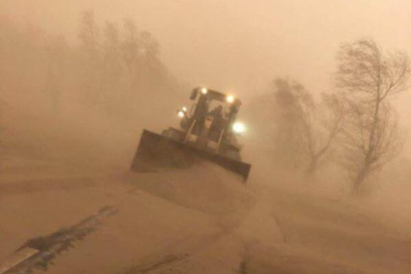 《異星梟寵》 作者:流云 1v1