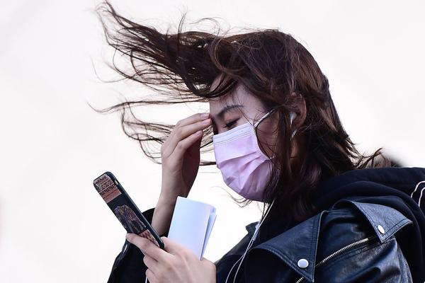 瘋狗by沉郁白無全文免費閱讀