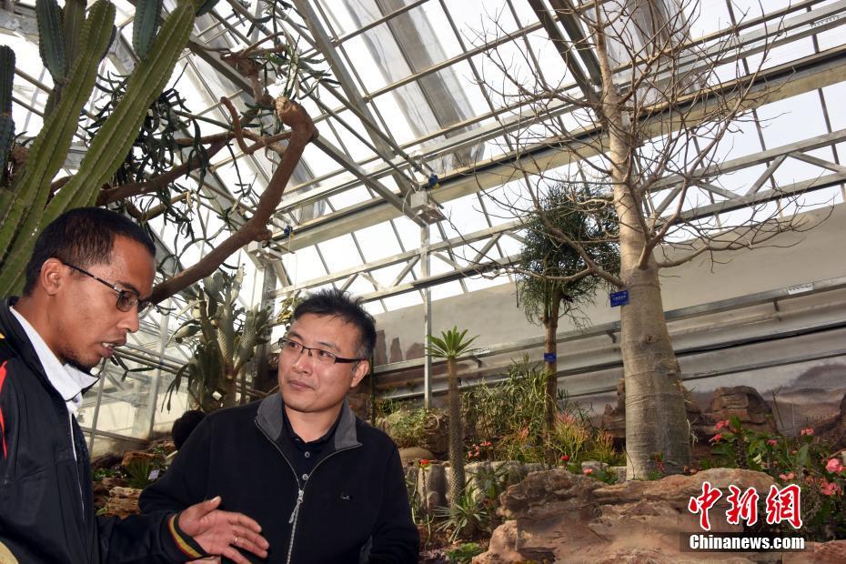 《過度癡迷》犬師子筆趣閣