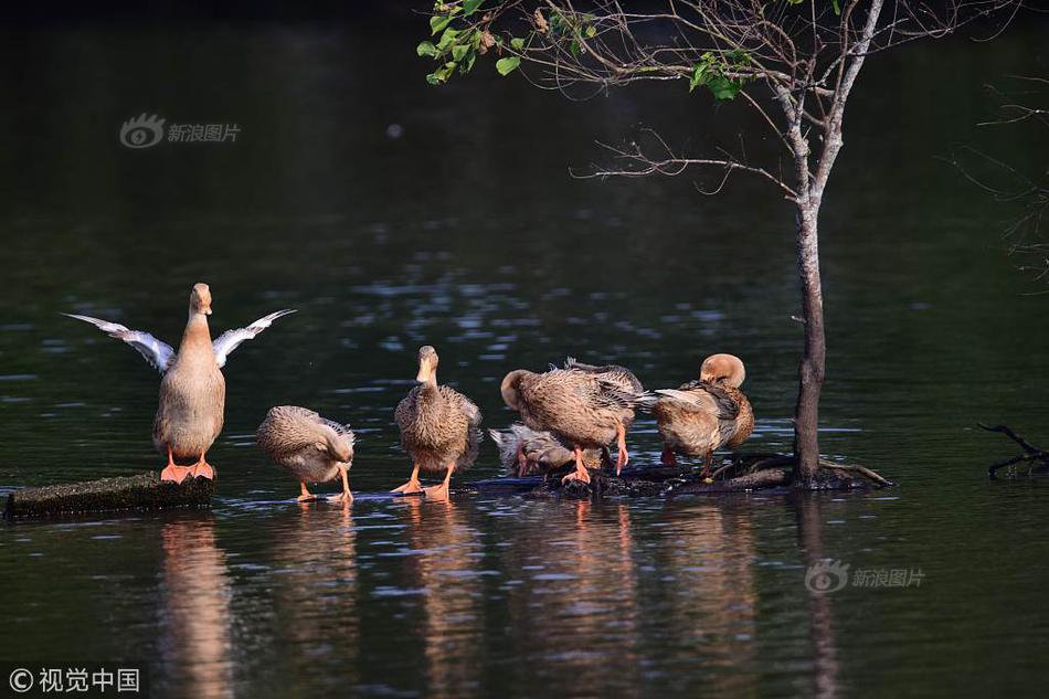 一受封疆by殿前歡全文免費閱讀