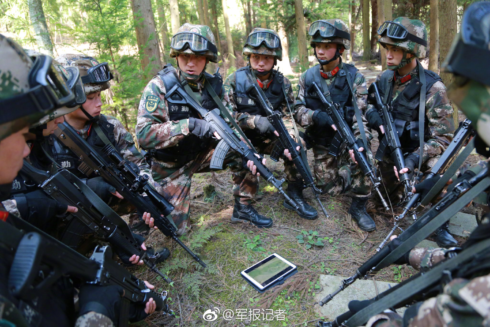 db-5和hp-5柱子區(qū)別