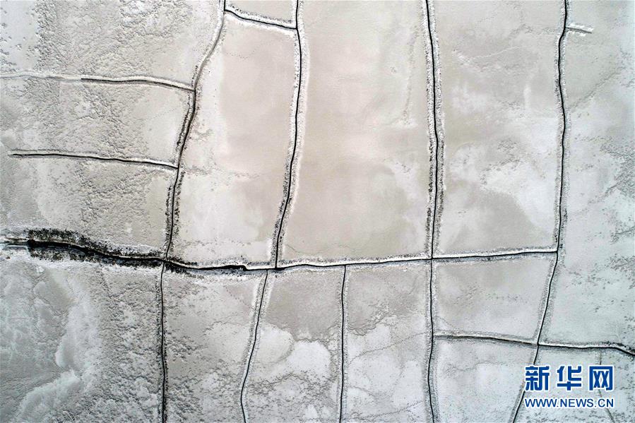 晝夜更替(雙胞胎 1v2) / 作者:小圈降臨