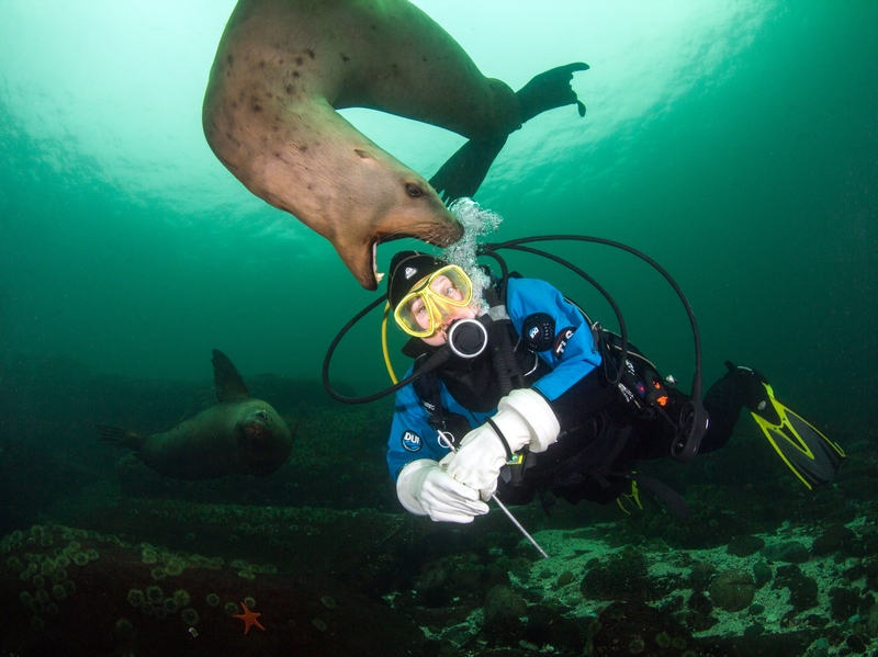 當惡毒女配覺醒后1v1何慕生