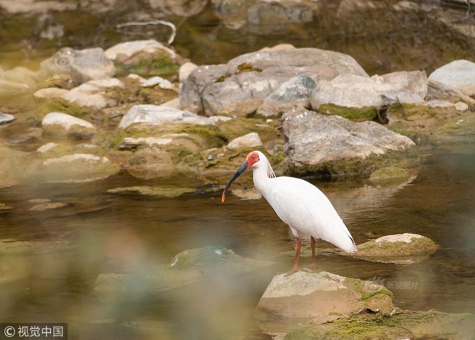 大小姐的保鏢1v2筆趣閣問就是斷片